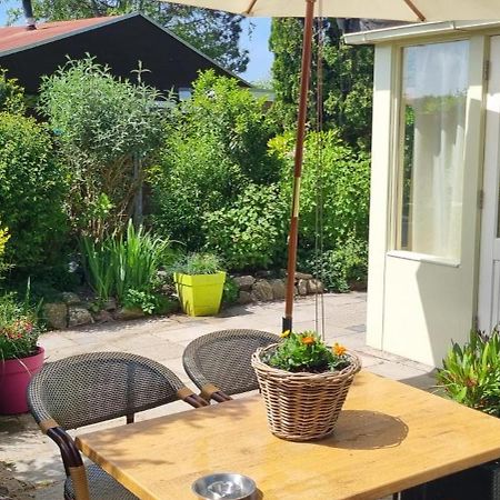 Zonnig Zuid Villa Dirkshorn Eksteriør bilde